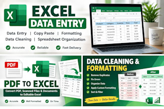 do excel data entry, copy paste and data formatting