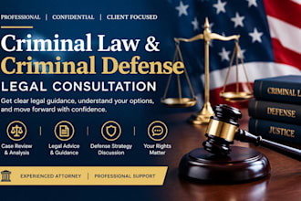 provide expert criminal law and criminal defense legal consultation