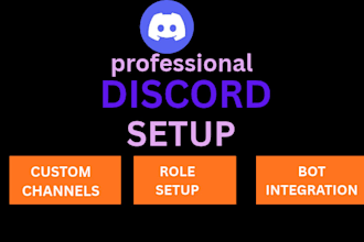 setup a professional custom discord server
