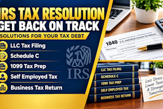 prepare llc tax returns, schedule c, and 1099 tax filings