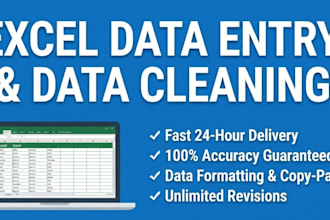 do expert excel data entry and data cleaning