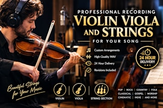 professionally record violin viola and strings