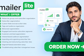 review and setup mailerlite segmentation groups tags and subscriber management