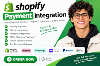 integrate shopify payment, klarna, afterpay, bnpl, shop pay any payment gateway