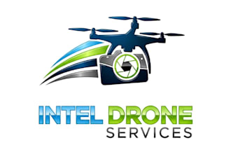create modern aerial drone real estate and business logo design