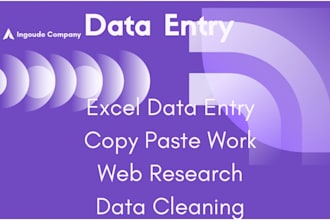 do professional data entry and virtual assistant tasks
