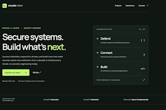 build a professional mobile friendly website for you