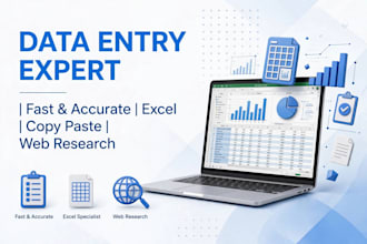 do data entry, copy paste, web research and excel entry fast