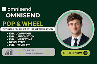 setup omnisend automation, email campaigns and ecommerce marketing