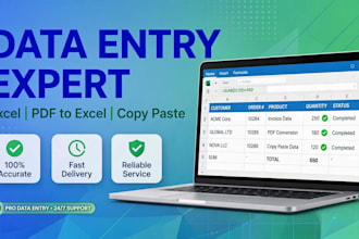 do data entry excel conversion