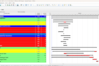 create a professional primavera p6 project schedule