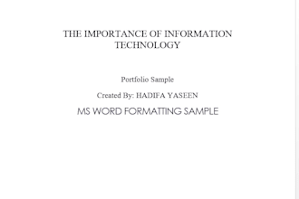 do professional ms word document formatting