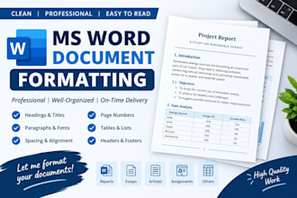do professional ms word document formatting
