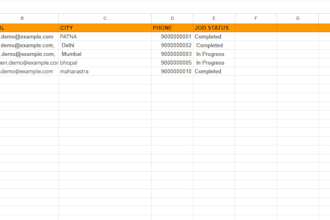 excel data entry and spreadsheet formatting