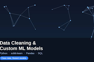 do make your custom ml models and data preprocessing