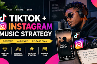 create a tiktok and instagram music marketing strategy