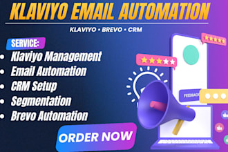 setup klaviyo management pose estimation CRM pro automation segmentation brevo