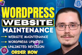 provide monthly wordpress website maintanance, wordpress support,help and update