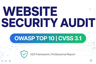 do web security audit and report