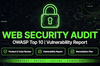 do web security audit and report