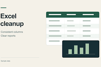 clean, organise and summarise your excel or CSV data