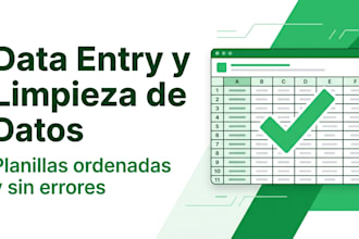 data entry y limpieza de datos financieros en excel o google sheets