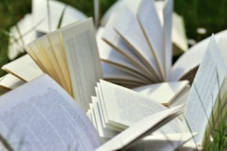 beta read your novel and provide feedback