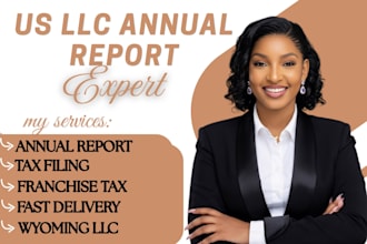 file your llc annual report, franchise tax filing for US llc