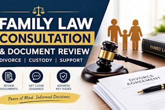provide family law consultation and review divorce custody documents