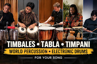 play timbales, tabla, timpani, world percussion, electronic drums for your song
