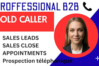 french b2b démarchage téléphonique appointment setter b2c cold call sales closer