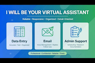 be your virtual assistant for data entry and web research