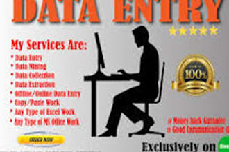 do in data entry excel pdf to word excel conversions