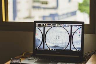 provide expert remote IT support and fix PC issues