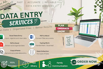 do professional data entry work