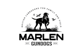 design gun dog company logo for families and fields