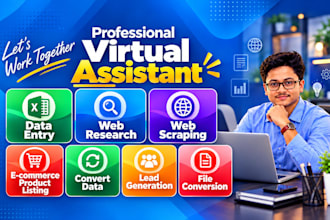 do mis, report making, data entry, data scraping, leads, file conversion
