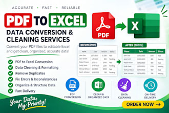 clean excel data and and convert PDF to excel or csv