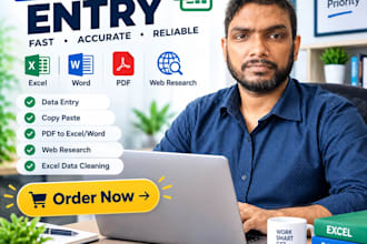 do accurate data entry, data collection, web scraping excel