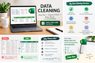 do data entry,data cleaning excel, and PDF to excel