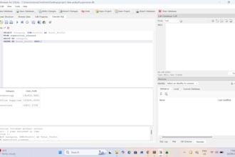 write sql queries and analyze your database