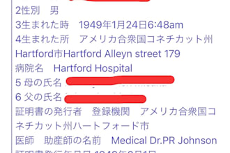 provide a professional japanese english interpretation