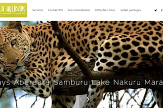 do a Travel Package for a Safari to East Africa