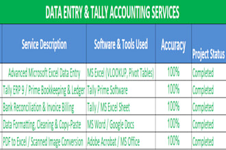 do professional data entry and tally accounting works