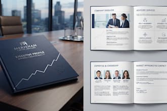 create a professional b2b company profile and capability document