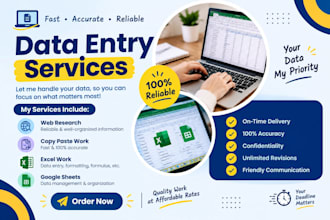 do expert data entry and web research in excel