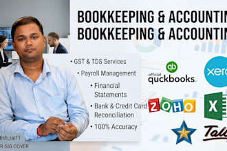 do professional bookkeeping, accounting, gst and tds services