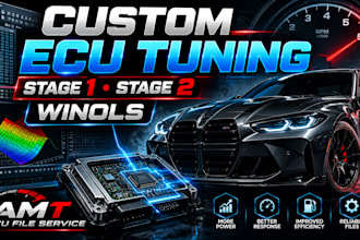 custom tune your ecu stage 1 stage 2 professionally in winols