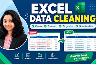 clean, format, and organize your excel data professionally