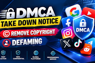 remove delete takedown harassing defaming leaked fb ig tiktok youtube insta dmca